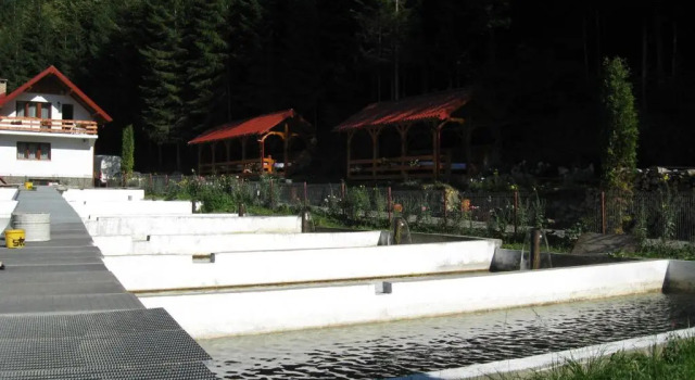 Люкс Hotel Paltinis