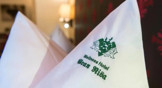 Номер Standard Wellness Hotel Gran Risa***S
