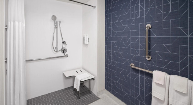 Standaard Tweepersoonskamer Hampton Inn Decatur