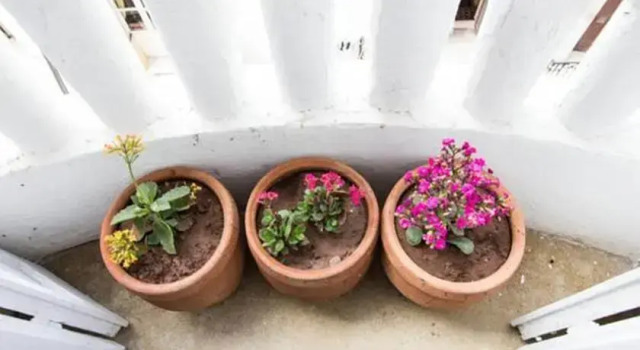 Sabor Apartment Casablanca