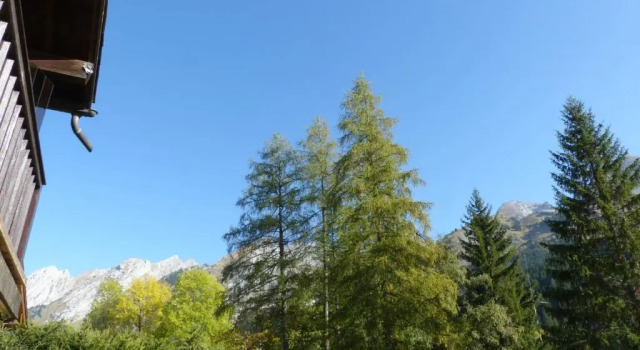 Appartement La Clusaz, 2 pièces, 4 personnes - FR-1-437-68