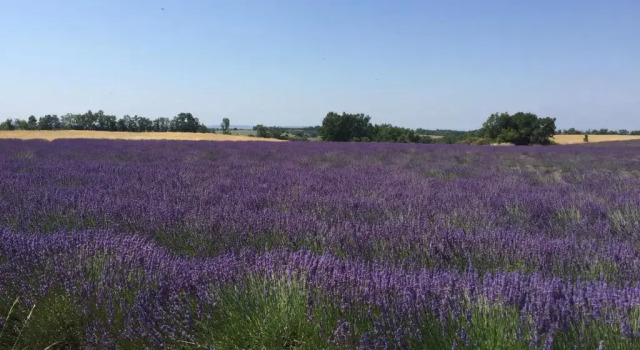 Апартаменты Cottage provencal - Villa saint Marc