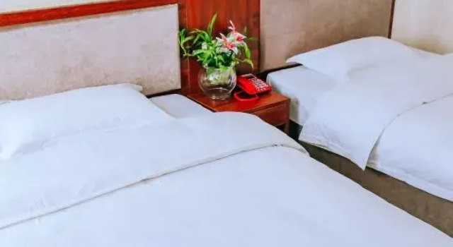 Deluxe Suite Baofa Hotel
