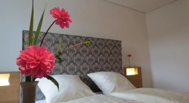 Двухместный номер Standard Hotel Kloster-Gasthof Speinshart