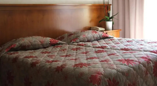 Двухместный номер Comfort с балконом Logis Hotel Diana