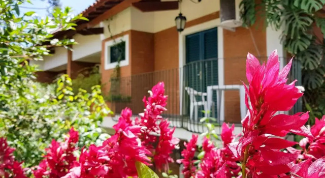 Номер Standard Grinbergs Village Hotel