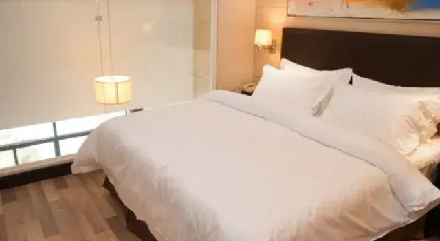 Семейный люкс Дуплекс Jinjiang Metropolo Hotel - Liyang Tianmu Lake
