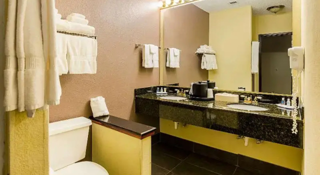 Номер Standard Quality Suites Altavista - Lynchburg South