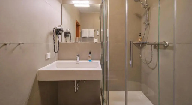 Одноместный номер Standard Classik Hotel Magdeburg