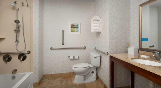 Номер Standard Hampton Inn & Suites Holly Springs