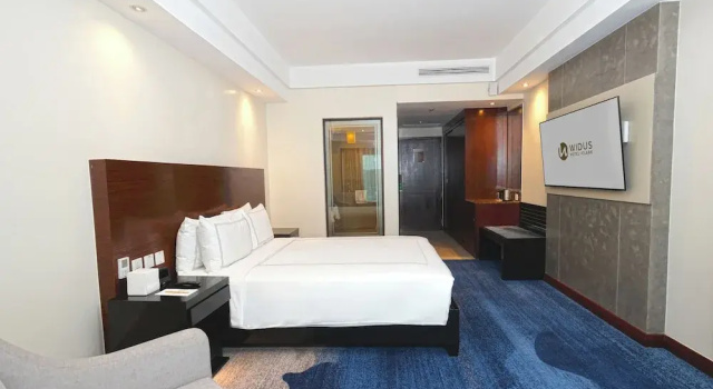 Двухместный номер Executive с балконом Widus Hotel Clark