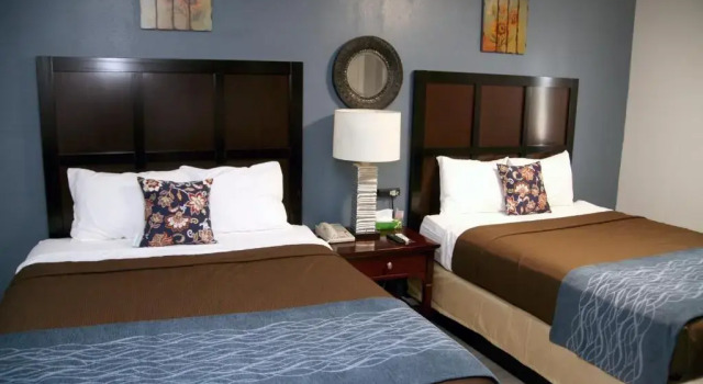 Четырёхместный номер Standard South T Motel