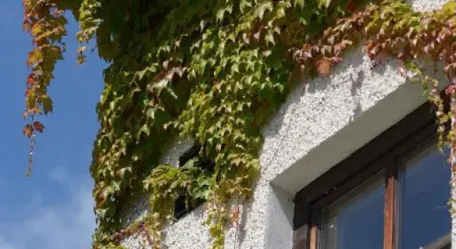 Hotel am Regenbogen, 预订 酒店 卡姆 Upper Palatinate
