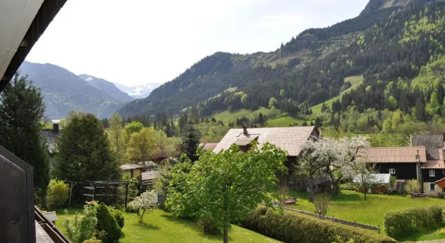 Одноместный номер Standard с балконом Der Malerwinkl - Alpenhotel