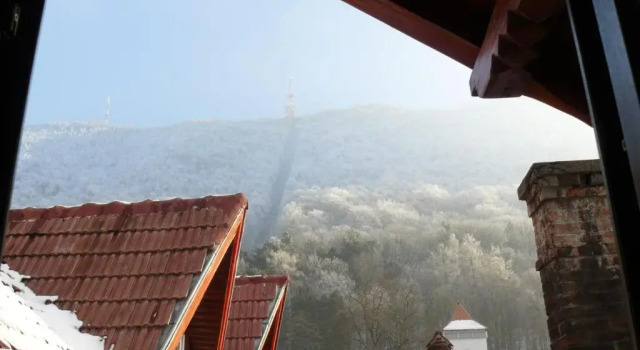 Номер Standard Hotel Natural
