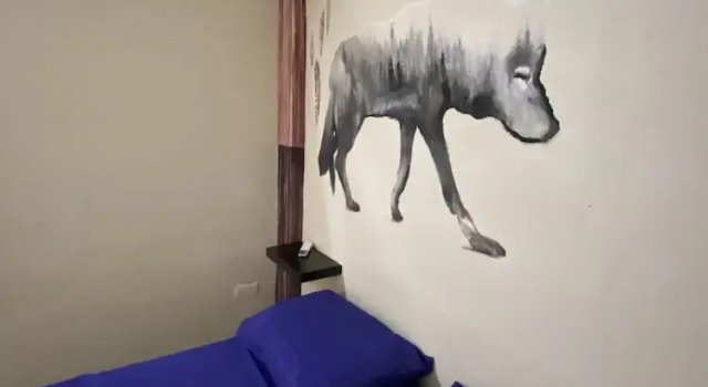 Номер Standard Garra Charrua