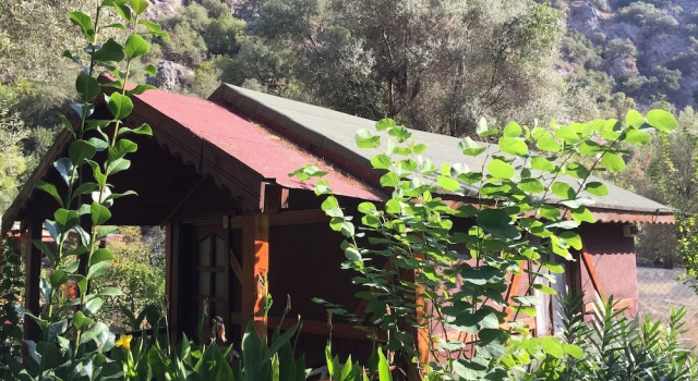 Бунгало Standard Canario Bungalows