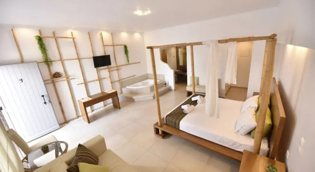 Люкс Queen Elegant Suites