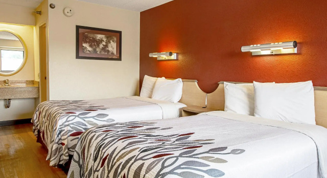 Четырёхместный номер Standard Red Roof Inn Washington DC - Columbia/Fort Meade