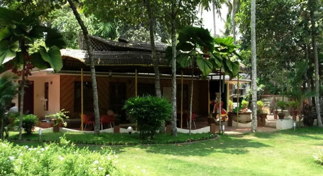 Vedanta Wake Up - Backwaters