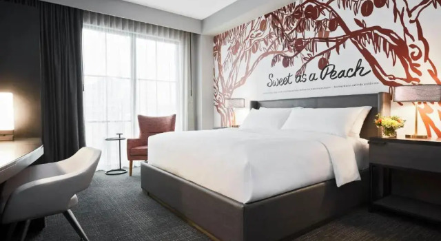 Одноместный номер Classic Archer Hotel Tysons