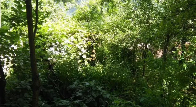 Guest House Marta, Prenota Affittacamere Borjomi Samckhe Javakheti