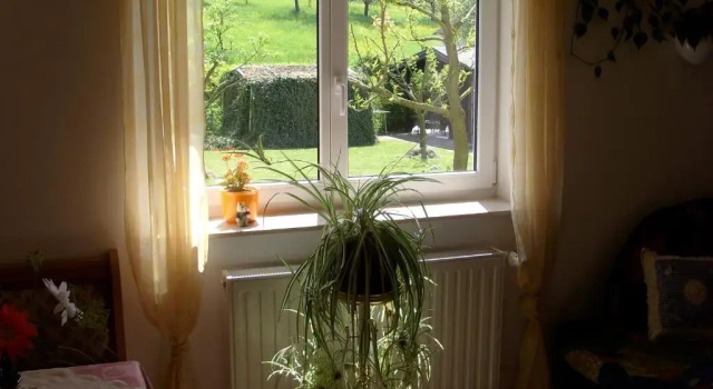 Апартаменты Ferienwohnung Adelheid