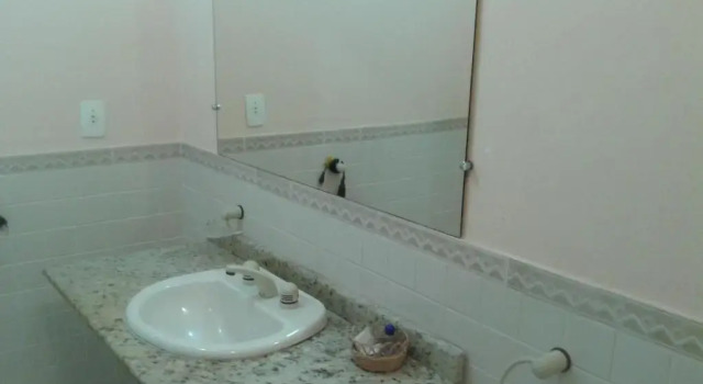 Номер Standard Hotel DAnatureza