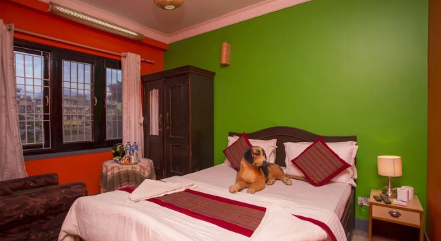 Двухместный номер Standard Blue Mountain Home Stay