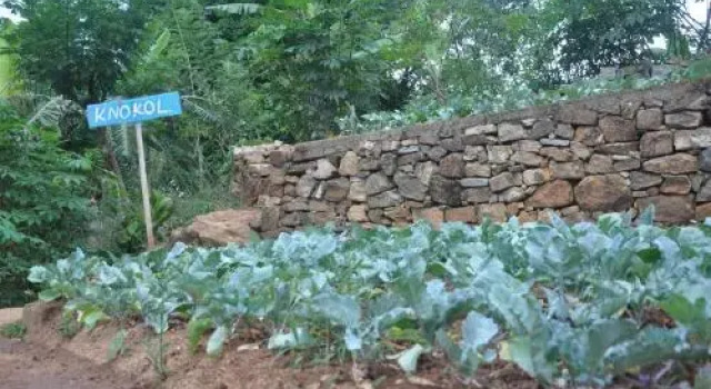 Mount Field Resort, Забронировать Курортный отель Балангода Ratnapura District