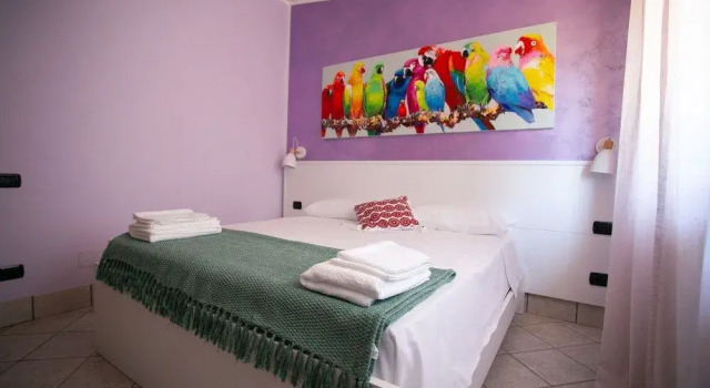 B&B Trepo