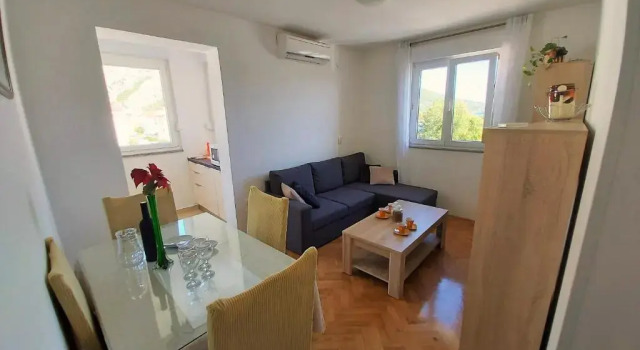Apartment Ribnjak 10