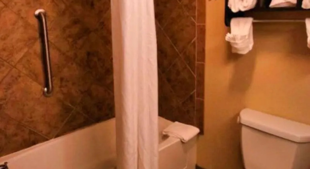 Двухместная студия Hampton Inn & Suites Jacksonville Beach Boulevard/Mayo Clinic
