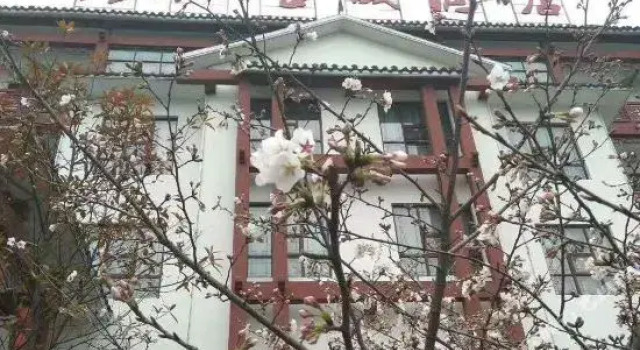 Qingjiang Ancient City Hotel, Varaa Hotelli Yichang Hubei