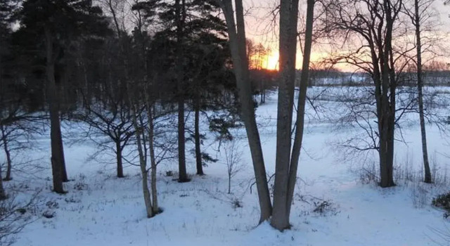 The Viking Farm Bed and Breakfast, Забронировать Фермерский дом Отели Аделаиды с парковкой, Парковка