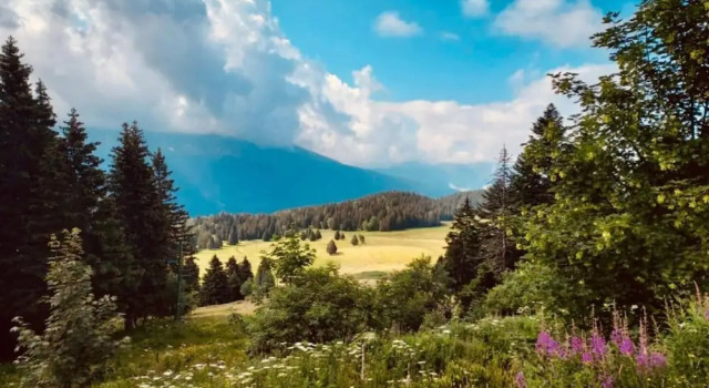 Апартаменты Alpine Apartment in Chamrousse