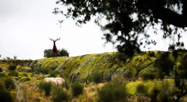 Herdade da Rocha - Boutique Lodge, Reserva ahora Boutique Hoteles boutique en Alentejo, Boutique