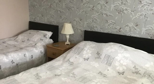 Двухместный семейный номер Standard The New Inn Motel