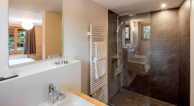 Номер Standard Hotel Breithorn