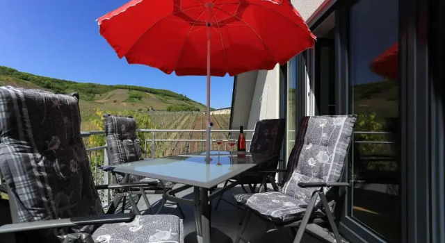 Апартаменты с 2 комнатами Ferienweingut Pies Ellenz-Poltersdorf