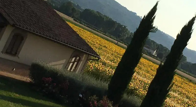 Апартаменты Standard Agriturismo Le Rondini Di Francesco Di Assisi