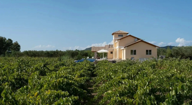 Коттедж Aneli Luxury Villas - Villa Semeli