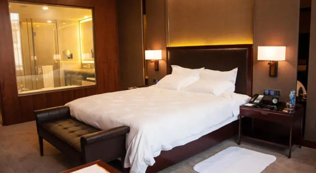 Camera doppia Deluxe Parklane Hotel Changan