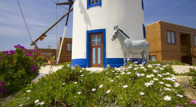 Coxos Beach Lodge