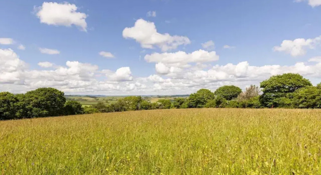 Roundhouse Yurt, Stunning Views, Totnes Dartmouth