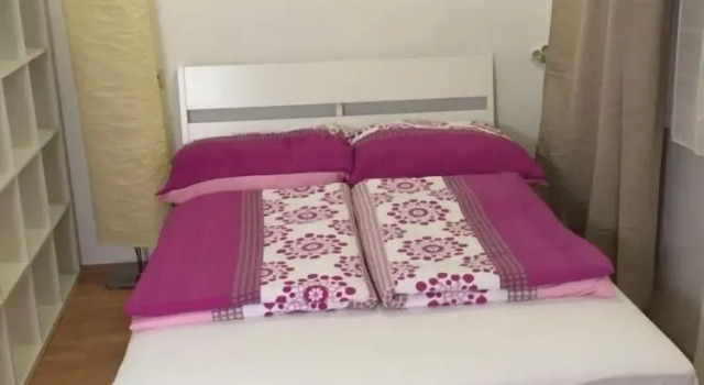 2 Bedrooms Economy Apartment Apartment- Schottenfeldgasse