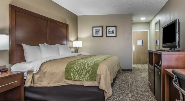 Номер Standard Spark By Hilton Jackson Ridgeland