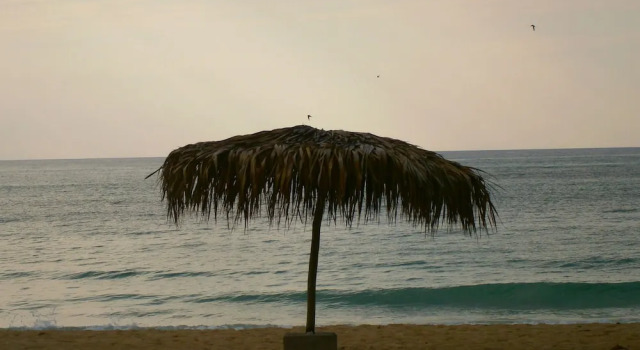 Sunset On The Beach Resort, Rezervasyon Tatil Köyü Negril Westmoreland