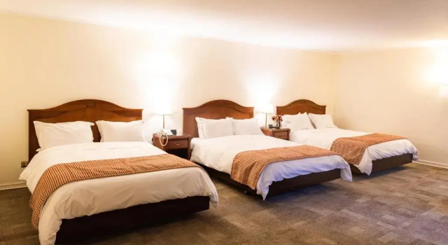 Трёхместный номер Standard MR Hotel Providencia