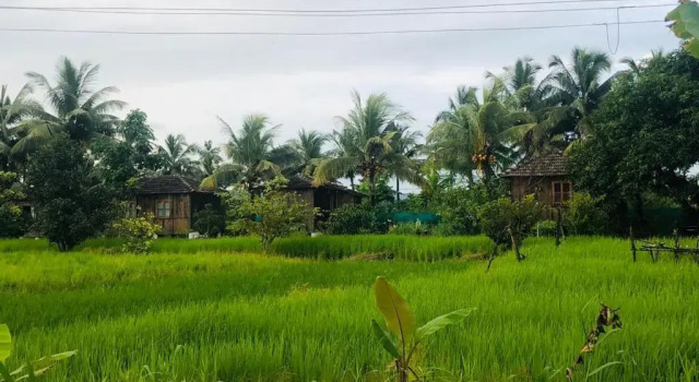 Тент Saligao farm cottage